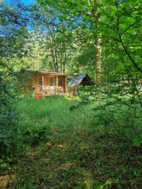 The Shack in the Woods